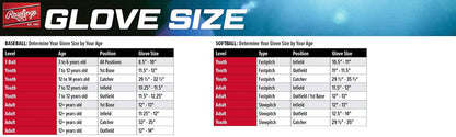 Rawlings Players Series Youth Baseball Glove – T-Ball & Youth Sizes